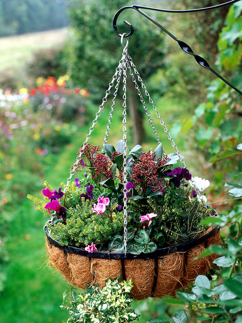 How to plant a Hanging garden Hanging plants Vertical
