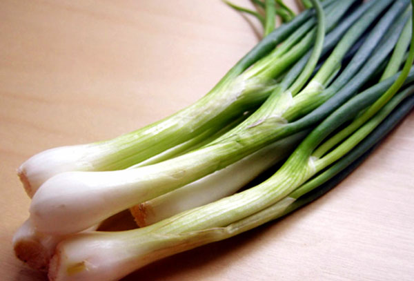 Spring Onions | green onions