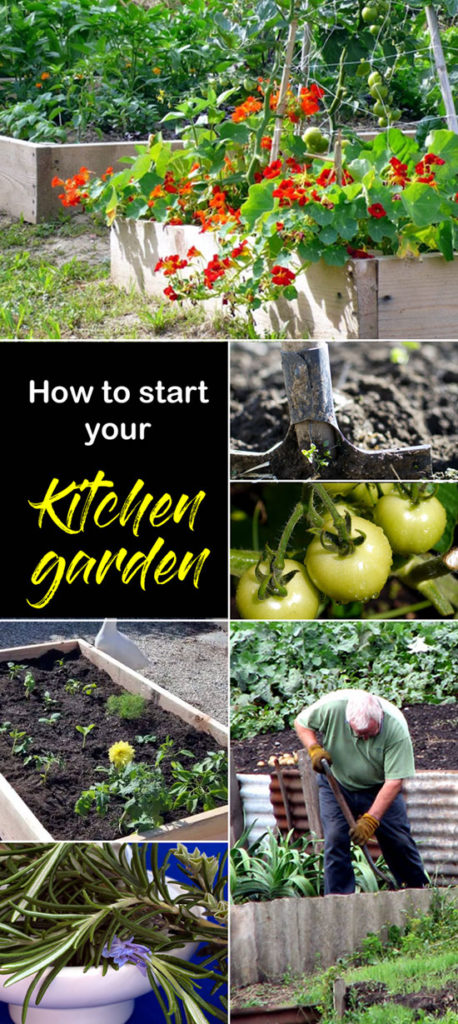 Kitchen garden