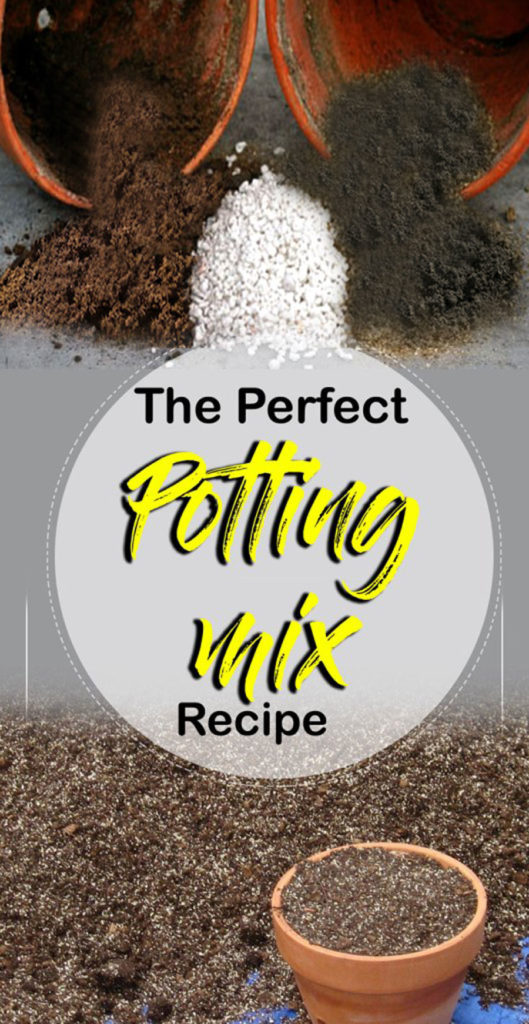 Potting Soil | cactus soil | potting mix