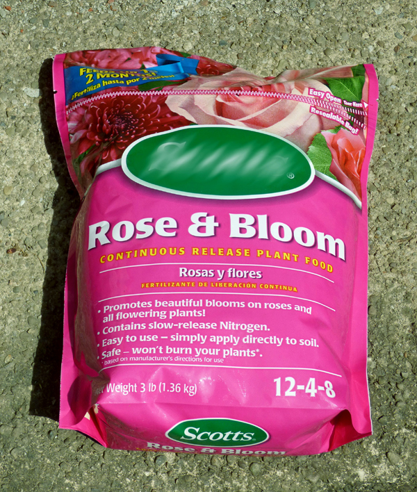 How to fertilize your roses Rose fertilizer Organic fertilizer