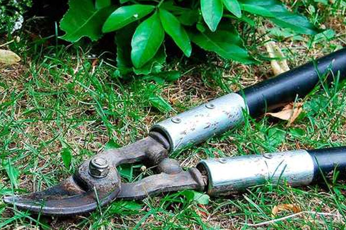 Gardening Tools