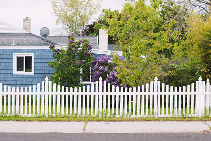 garden fence Idea