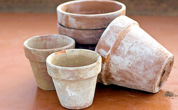 Clay pots