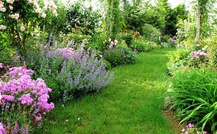 garden path ideas