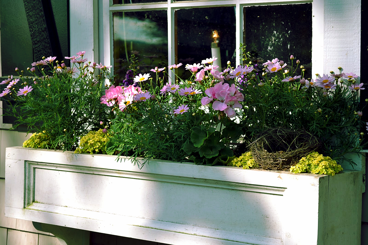 Window Box Garden | Impressive way of gardening
