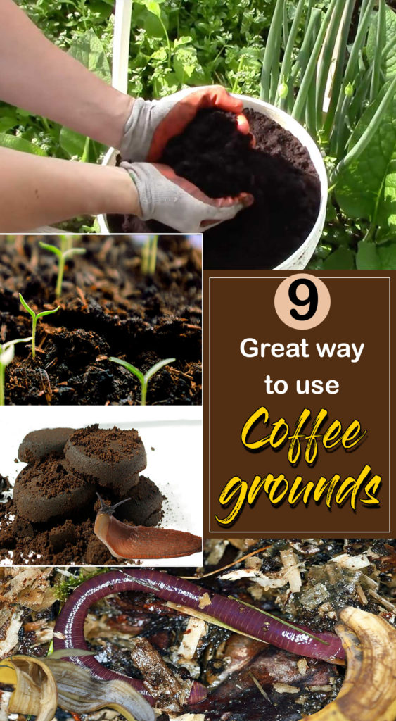 Coffee grounds