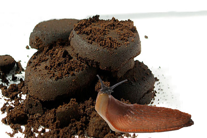 Coffee grounds