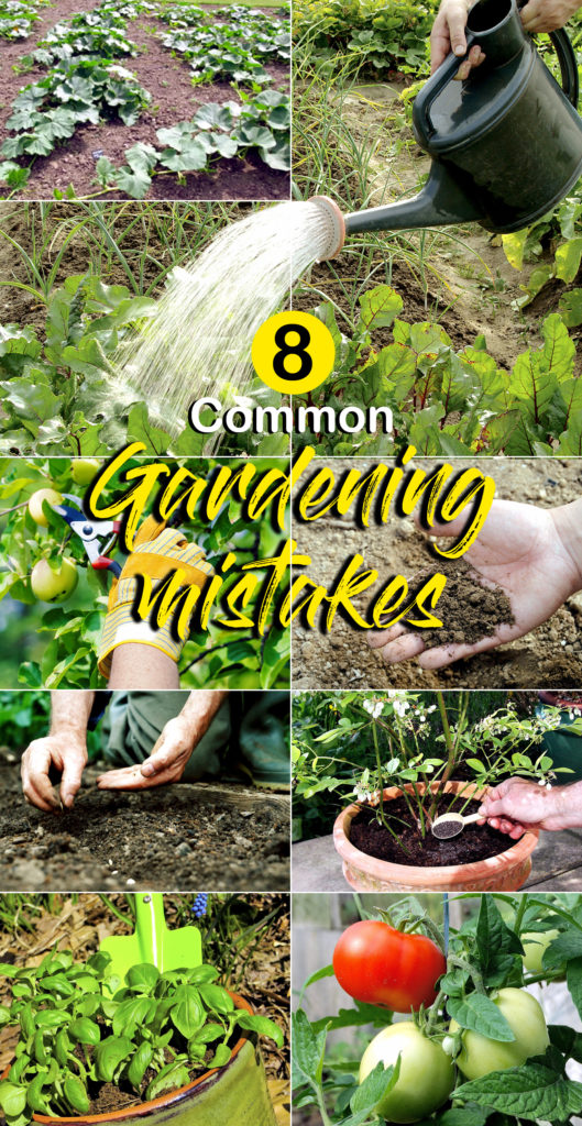 Gardening mistakes