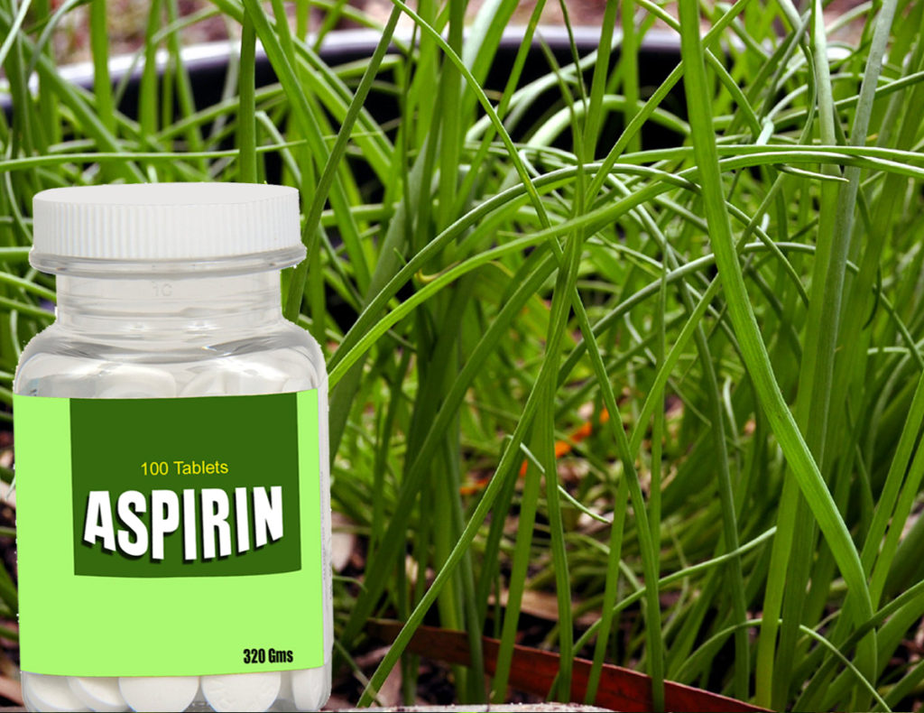 Aspirin