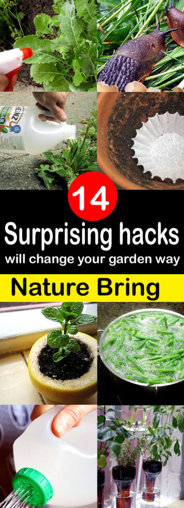 Garden hacks