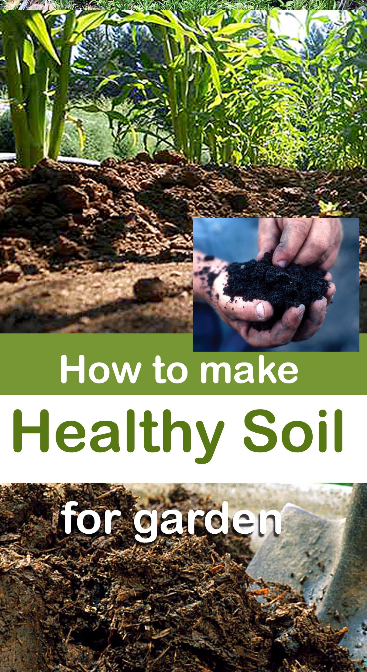 9. The Soil's Secret: Brown's Feed And Seed, Unlocking The Garden's Potential