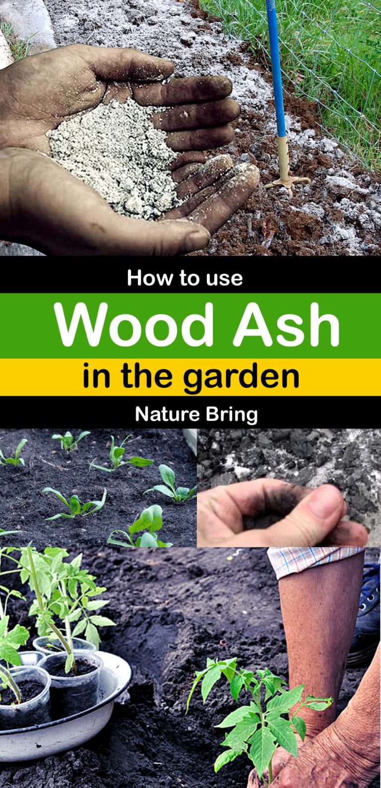 How To Use Wood Ash In The Garden Using Wood Ash Naturebring