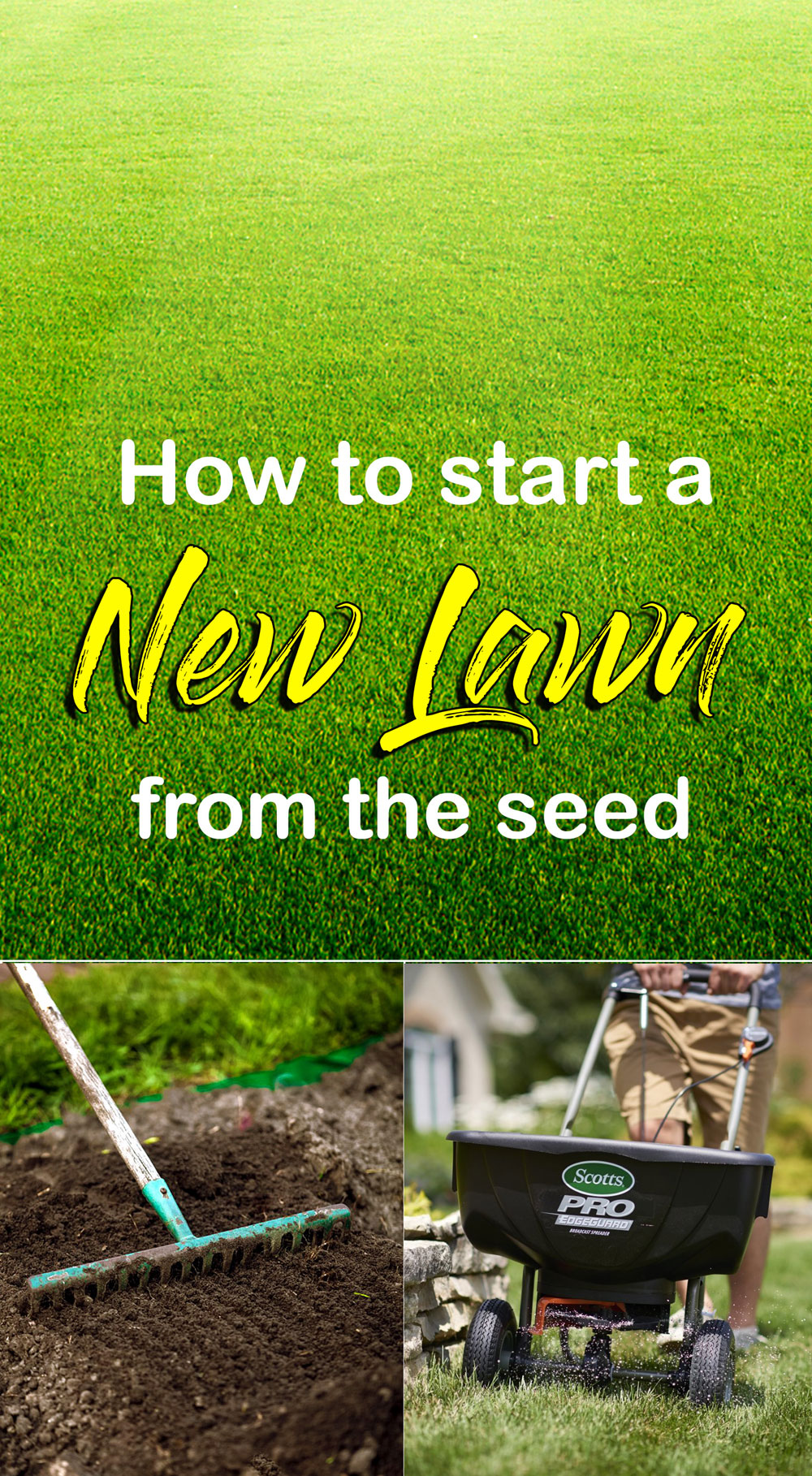 How To Start A New Lawn From The Seed | How To Grow New Lawn - Naturebring