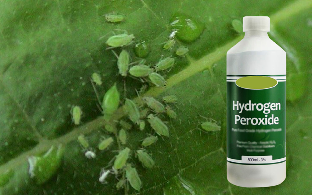 Hydrogen Peroxide