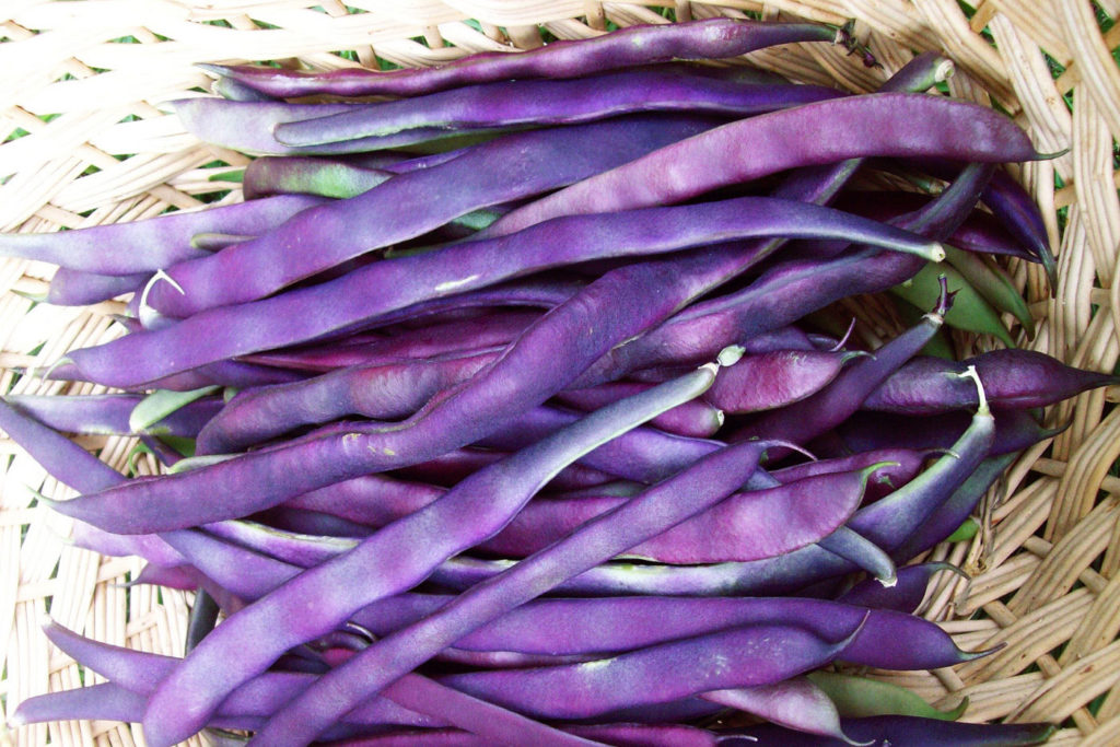 Colorful vegetables