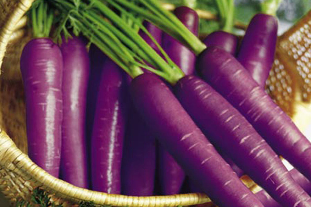 Colorful vegetables