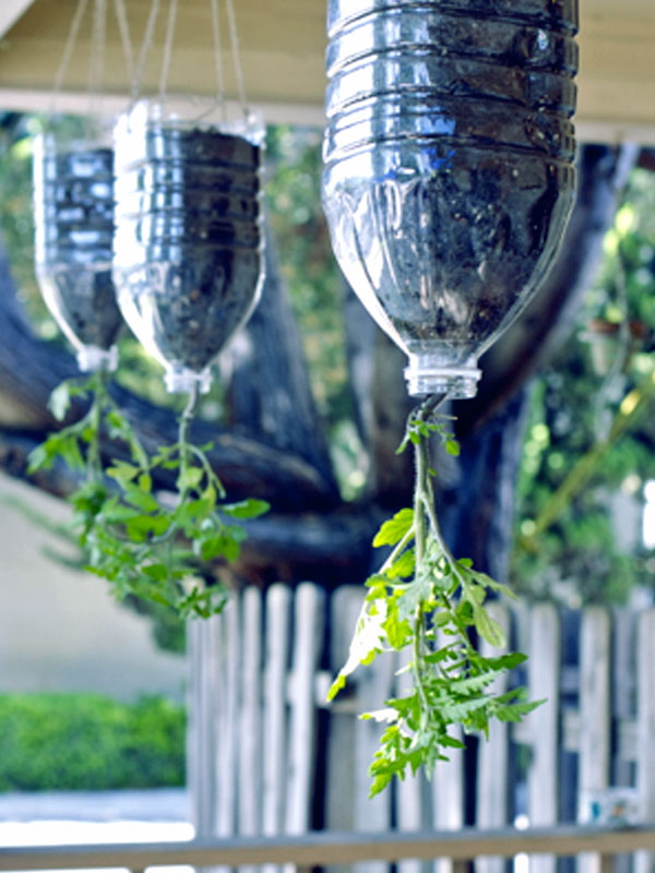 9 DIY Plastic Bottle Garden Projects Naturebring