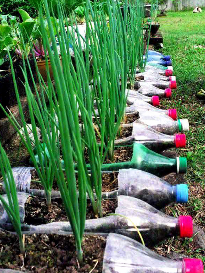 9 Diy Plastic Bottle Garden Projects Naturebring 8249
