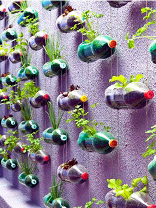 9 Diy Plastic Bottle Garden Projects Naturebring 1295