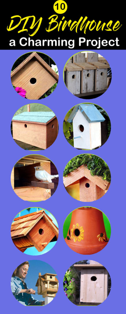 Birdhouse