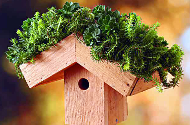 Birdhouse