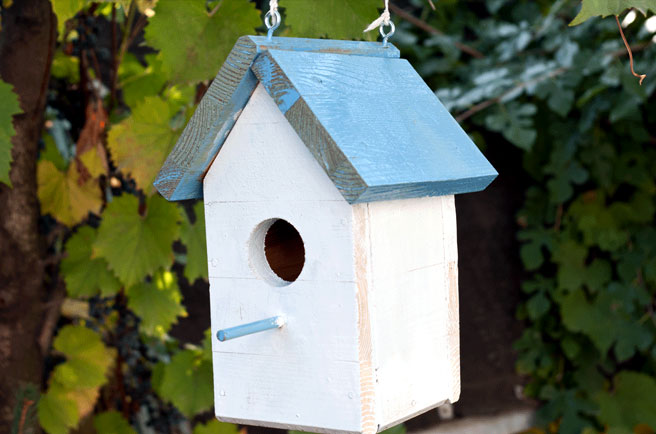 Birdhouse