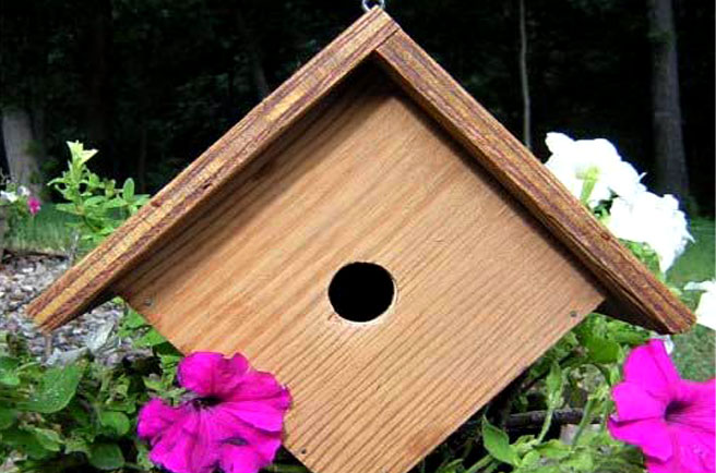 Birdhouse