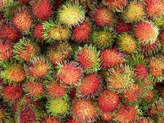 Rambutan