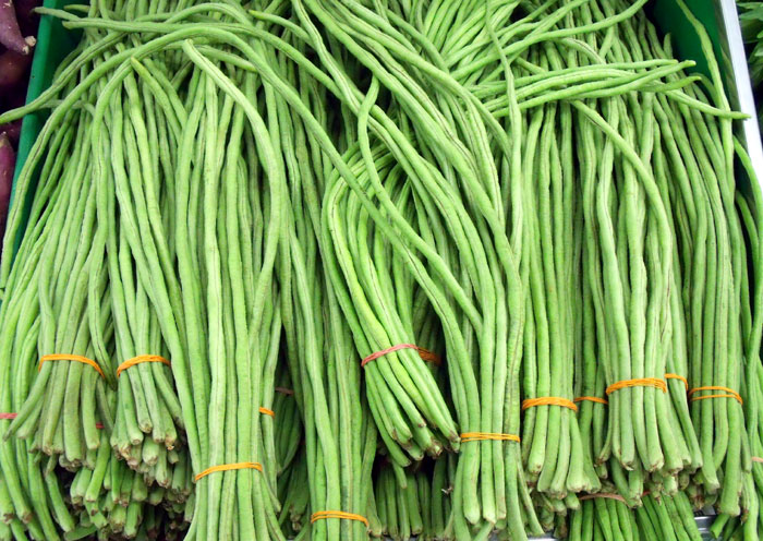 Long beans | asparagus beans | yardlong beans