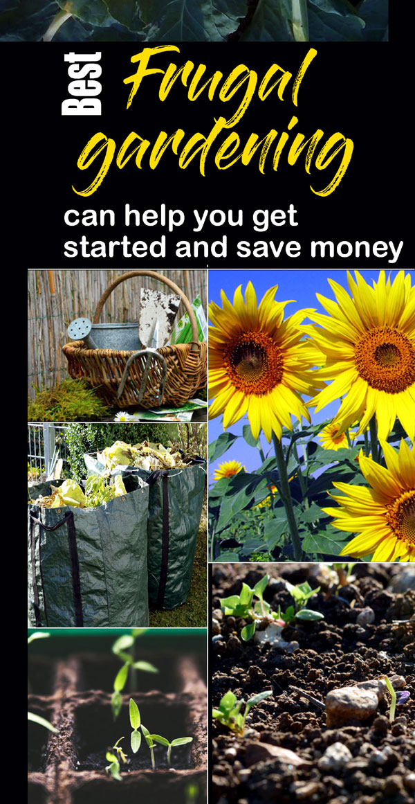 Frugal Gardening tips | money-saving gardening