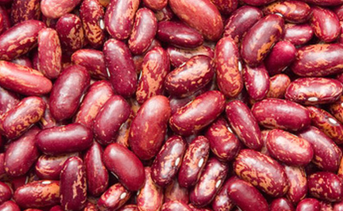 Kidney Beans | red kidney beans