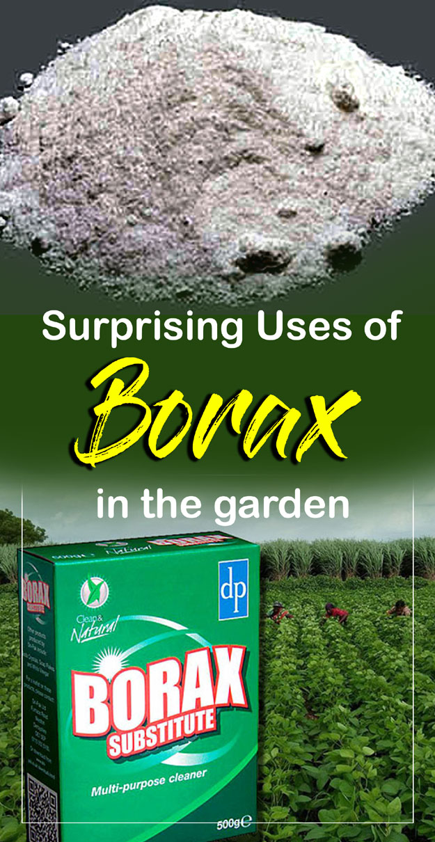 Borax