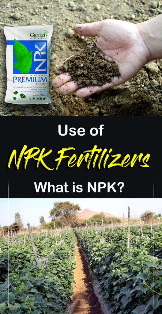 Npk Fertilizers Uses Of Npk Fertilizer Organic Fertilizer Naturebring