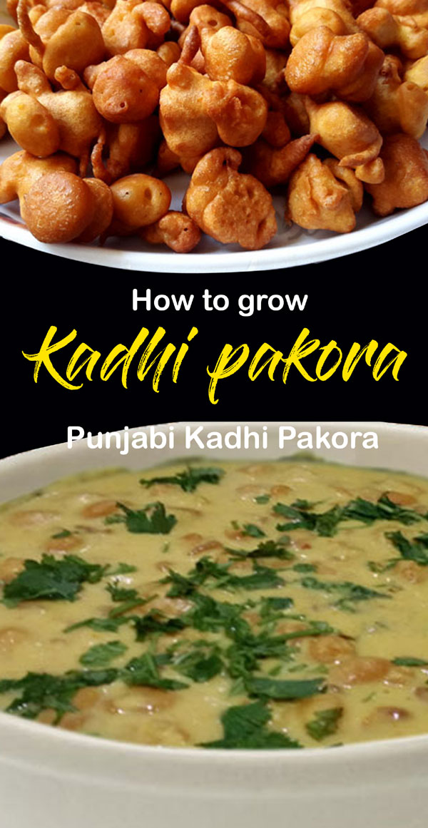 Kadhi