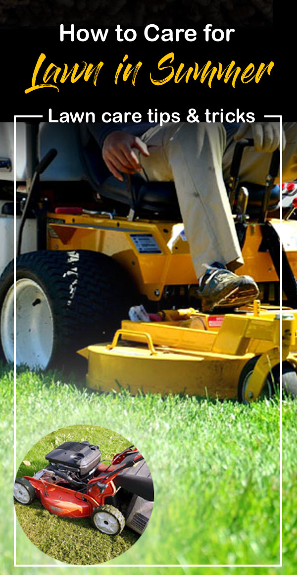 Lawn care tips | lawn care in summer