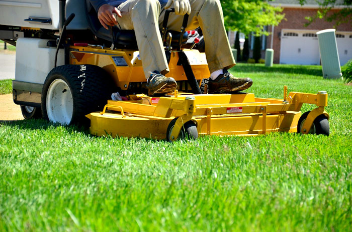 Lawn care maintenance | lawn care tips