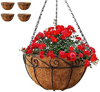 How to plant hanging baskets