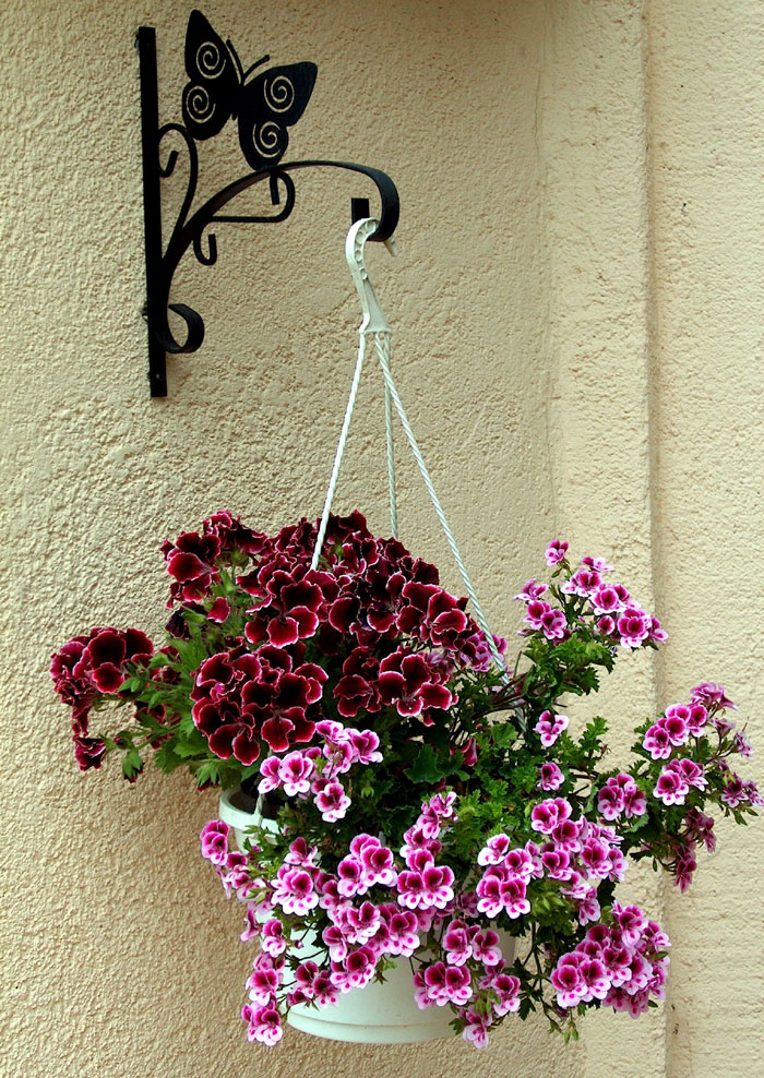 hanging baskets