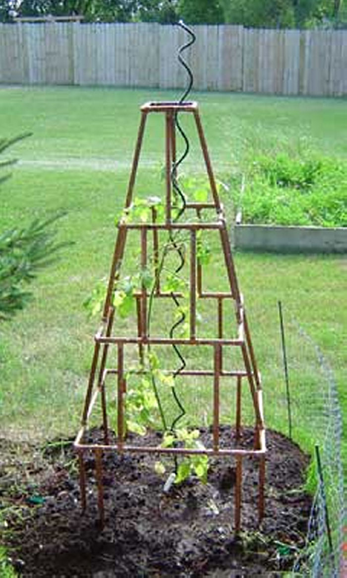 DIY Trellis