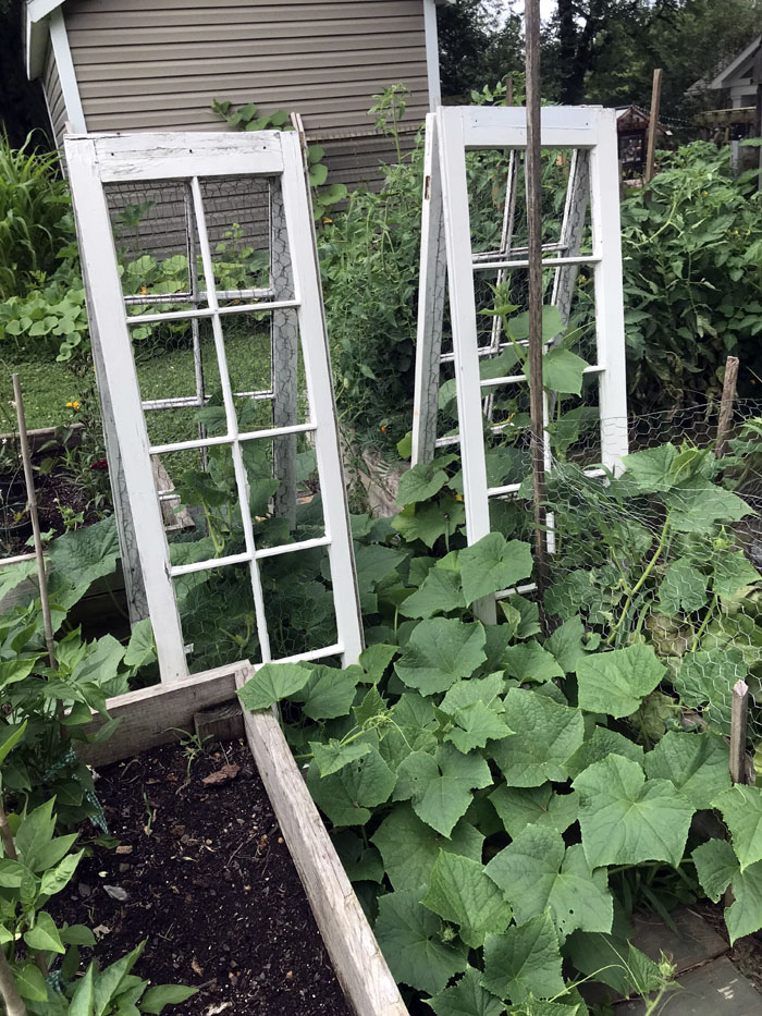 DIY Garden Trellis Ideas