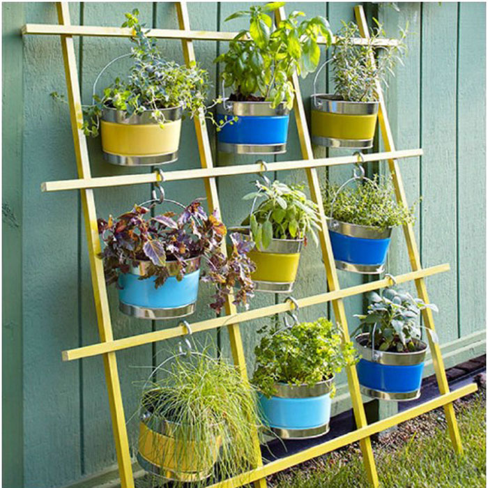 DIY Garden Trellis Ideas