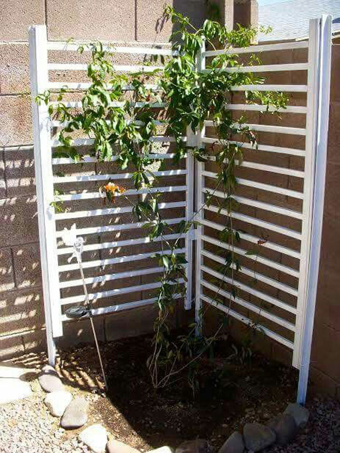 DIY Garden Trellis Ideas