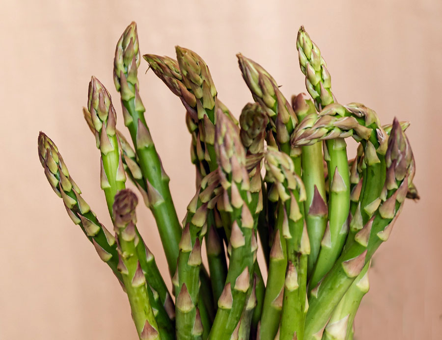 Growing asparagus in home | How to Grow Asparagus Plant