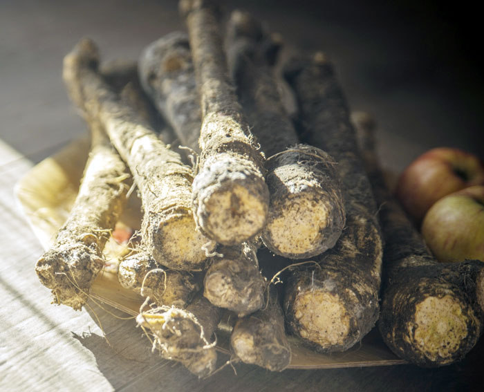 horseradish root | pepper root