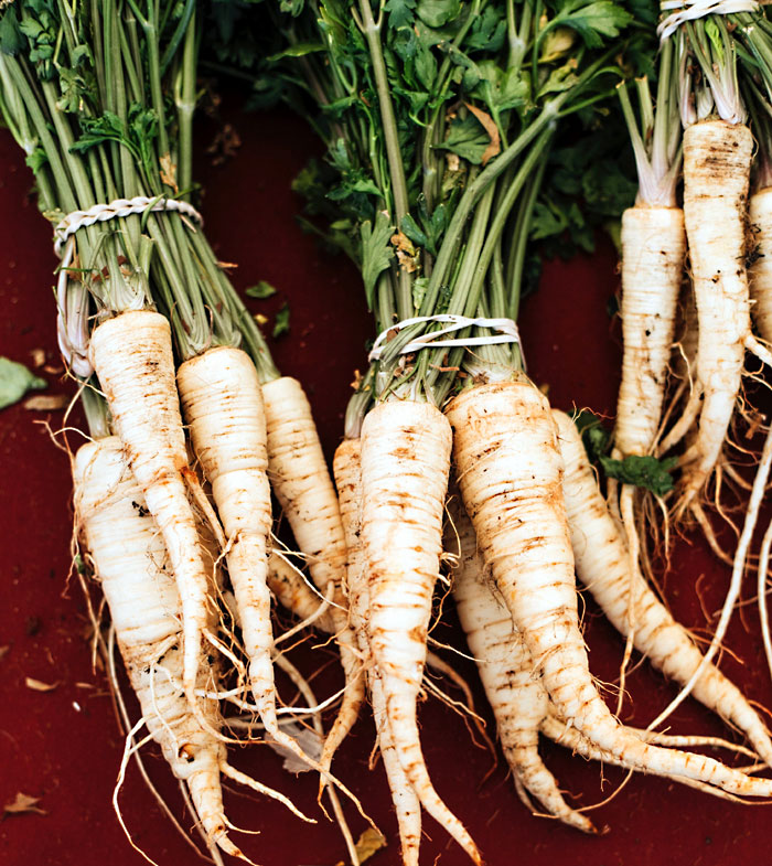 Horseradish Plant