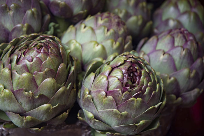 Globe artichoke (cynara cardunculus)